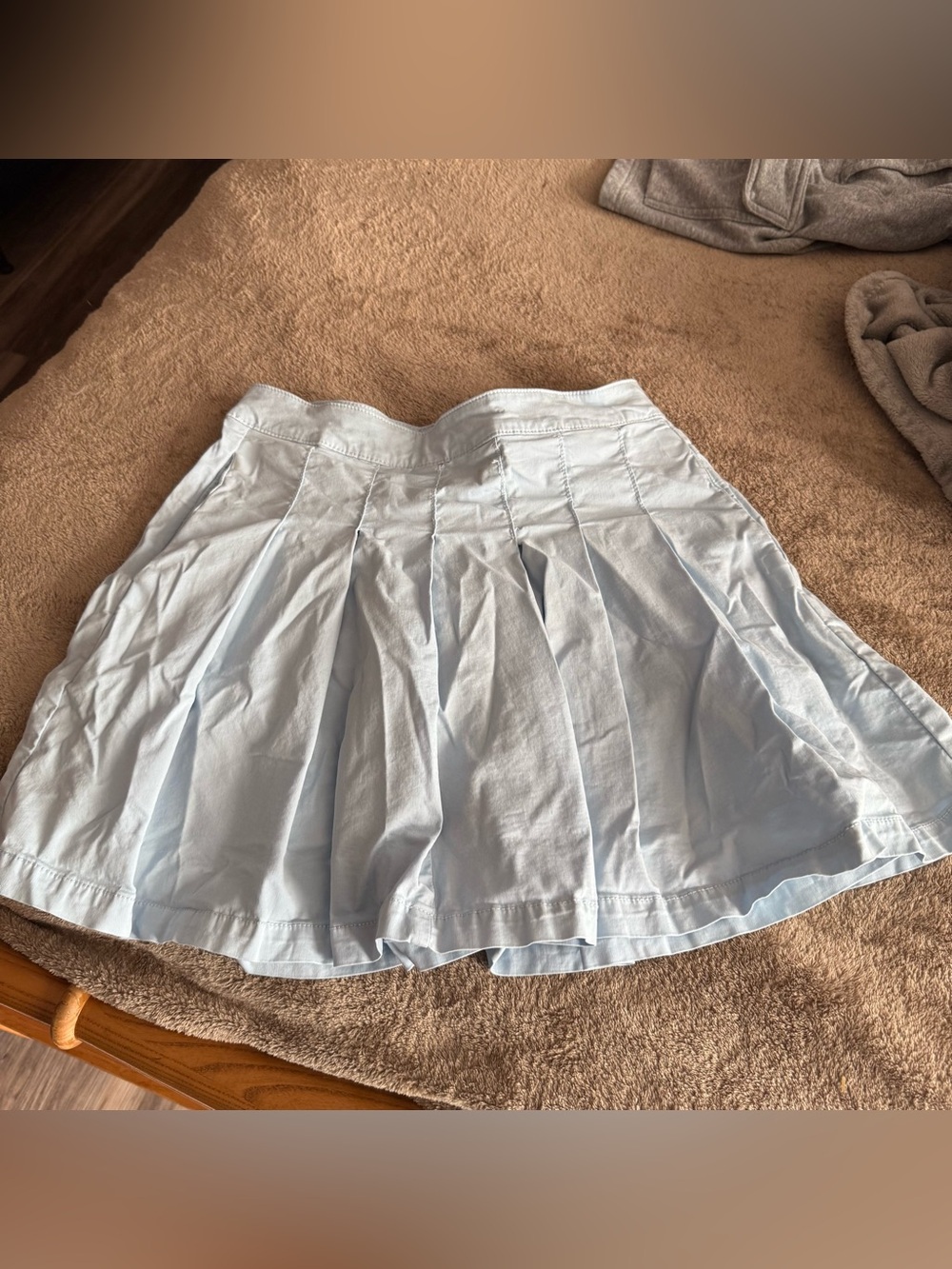 American Eagle Outfitters Light Blue Pleated Skater Skirt